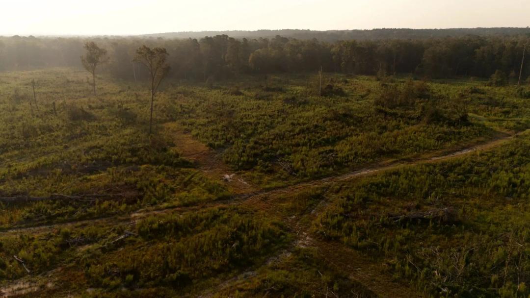 324 Acres in Claiborne Parish, LA 