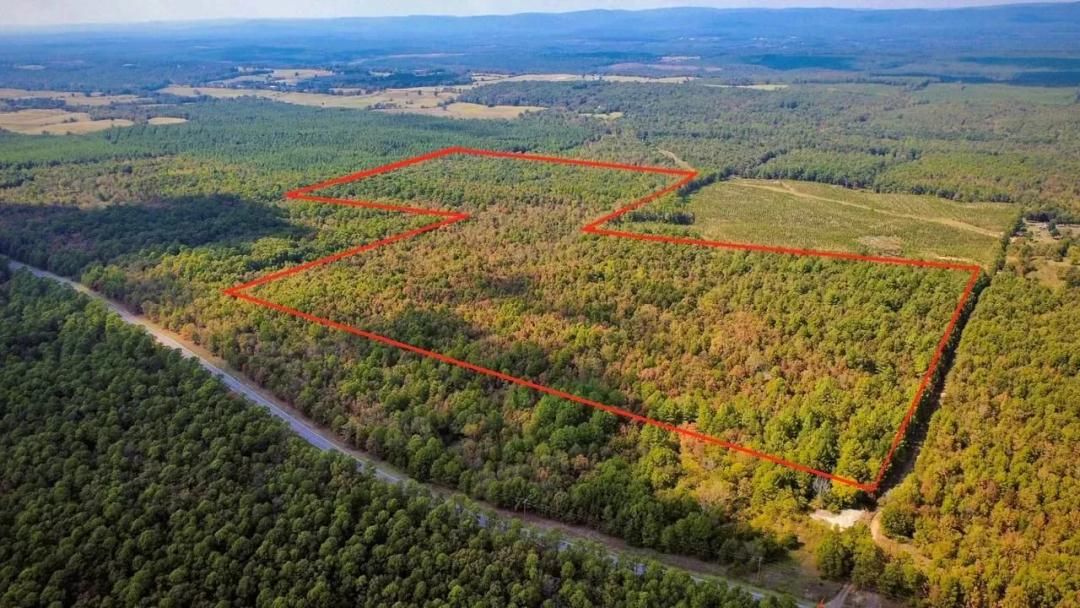90 ACRES OF TIMBERLAND | WATSON, OKLAHOMA