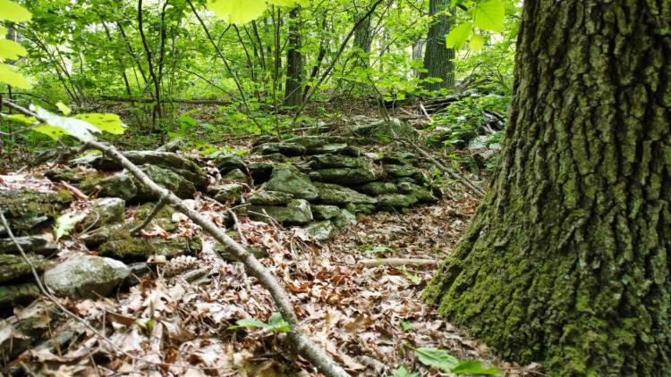 Wooded 3.2 Acres with Existing Infrastructure and Stone Walls