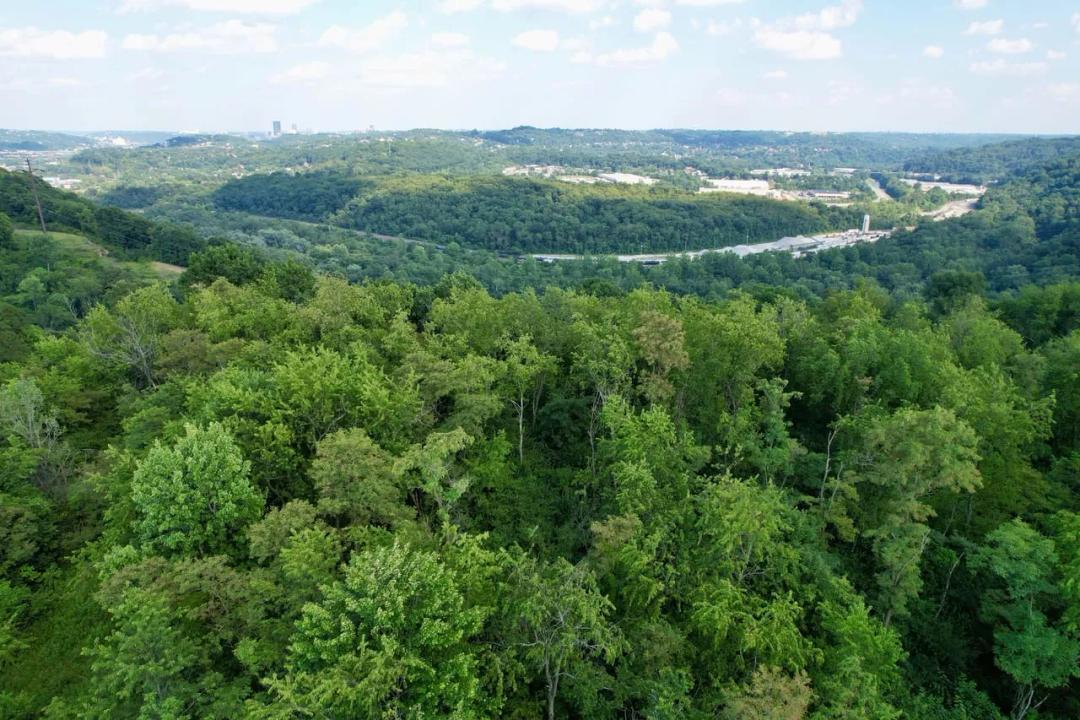 Longview Dr., Allegheny County - 7 ± Acres