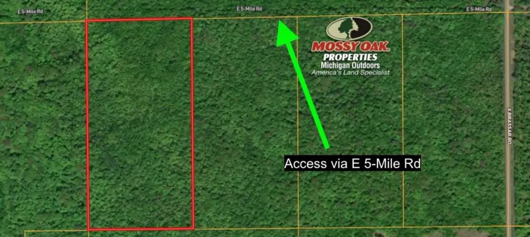 20 +/- Acres / Sugar Island / Chippewa County, MI / Upper Peninsula / Recreational Retreat / Land For Sale 