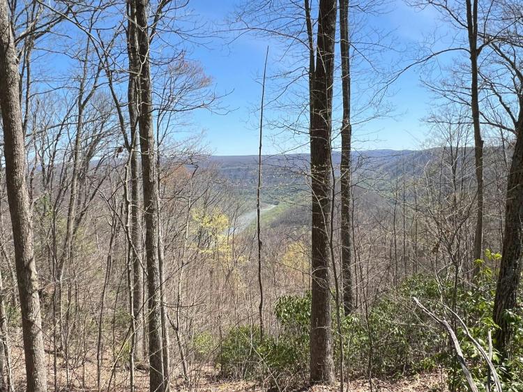 ±3,014 Acres of Timberland, Adventure, and Opportunity-All in One Remarkable Property!
