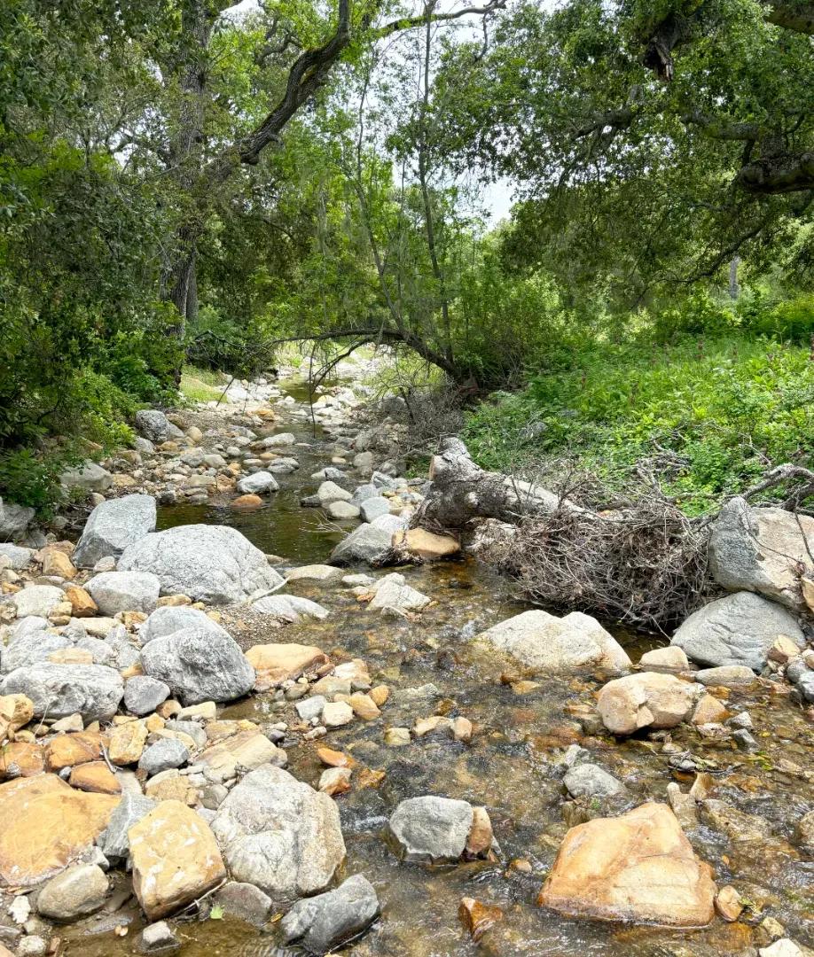 Creek 2