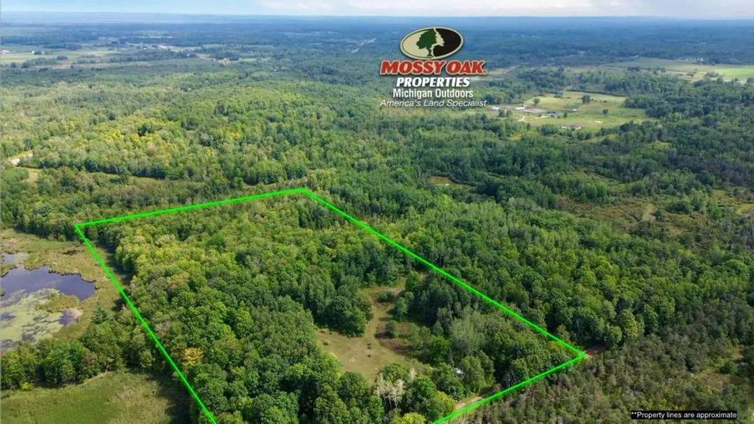 19.30 +/- Acres / Osceola County, MI / Off-Grid Deer Camp Cabin / Recreational Land For Sale