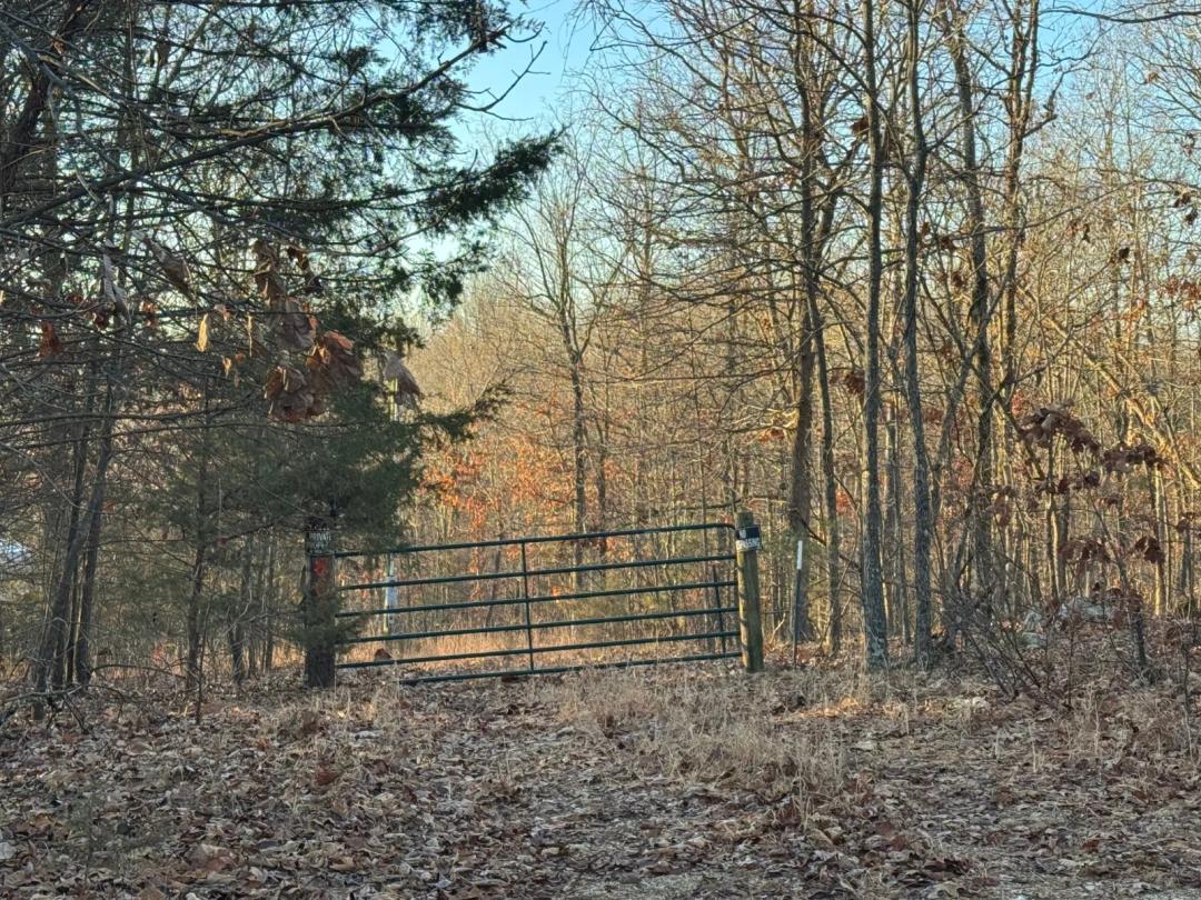 10 Acres For Sale