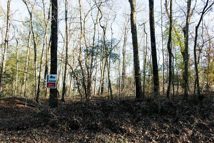 7.84 acres Burke County, Farmers Bridge Tract 9