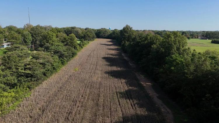 5.5 Acres in Bolivar County, MS
