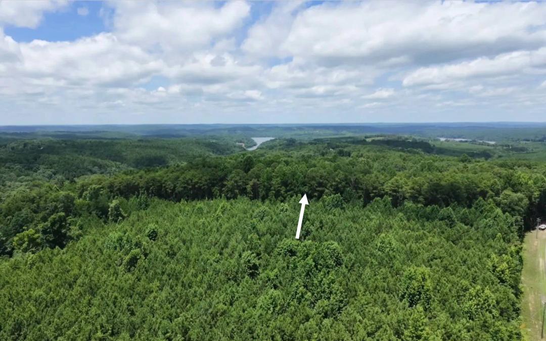 Lock 17 Road Tract - Black Warrior River Spectacular Views