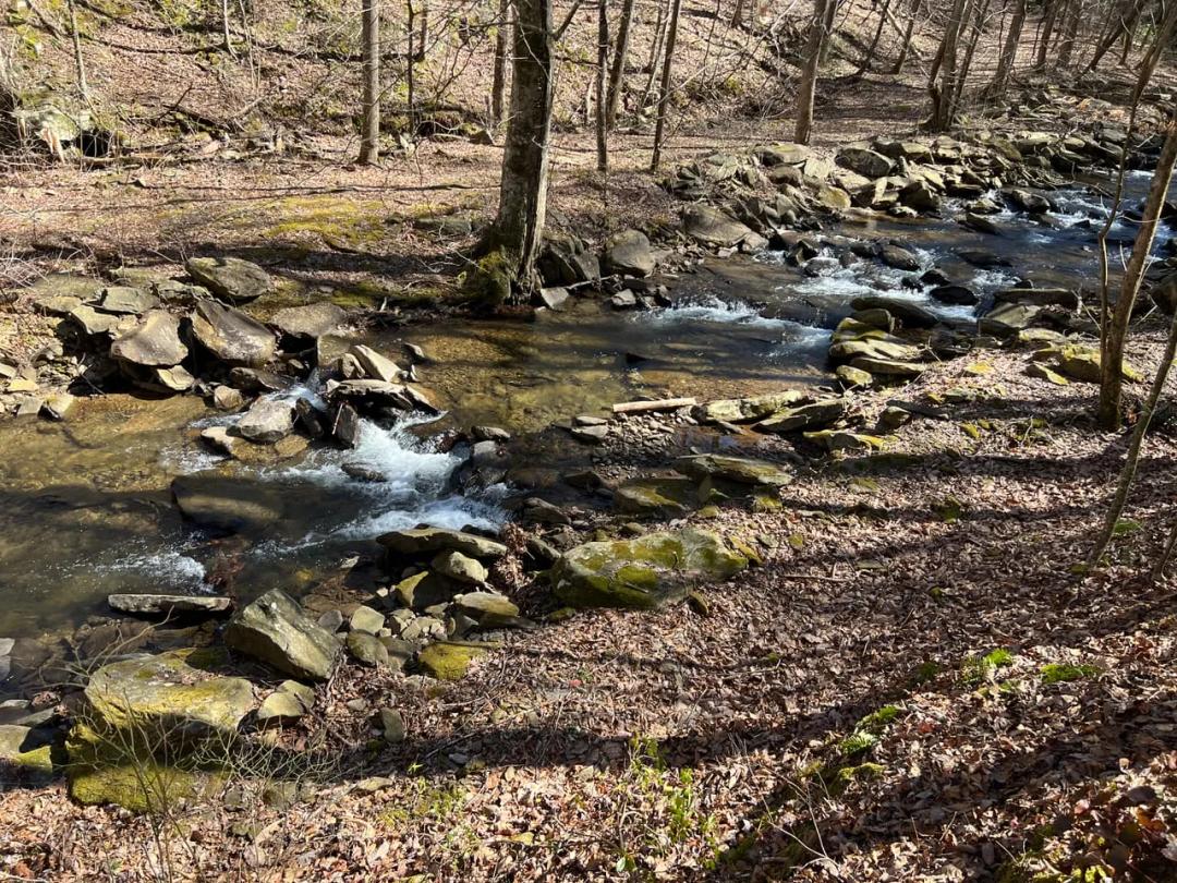 Wooded Acreage on Clear Creek
