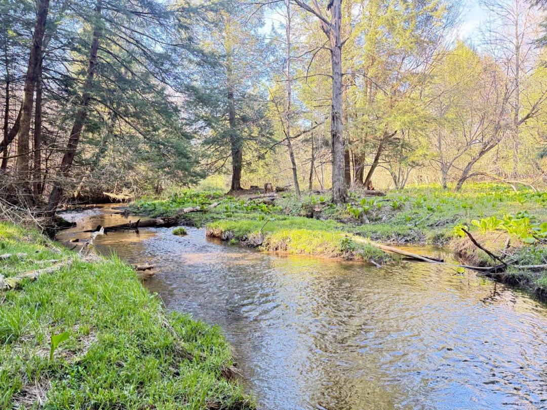 Prime Hunting &amp; Recreational Land Crawford County