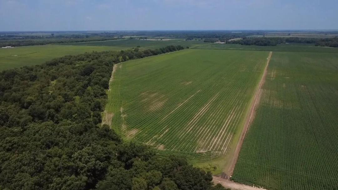 56.00 Acres at 986 Park Grove Rd
