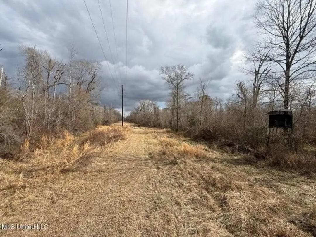 470 Acres on Calcasieu River in Allen Parish, LA