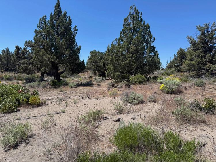 1.90 Acres at 11 Debbie