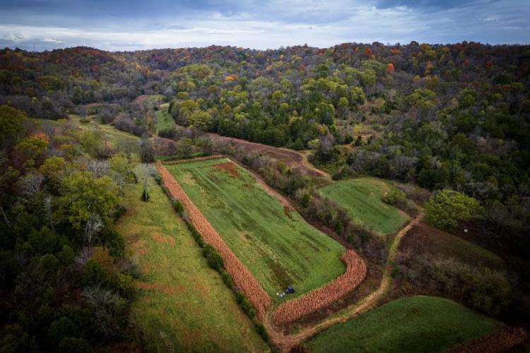 275.6+/- Acres - Giles County TN