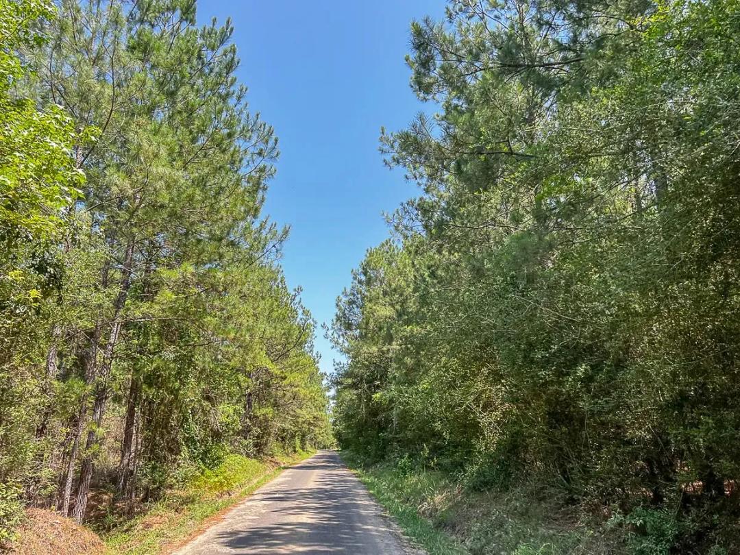 25 Acres | T-7 | Saron