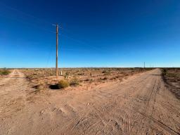 6 IMG_7992