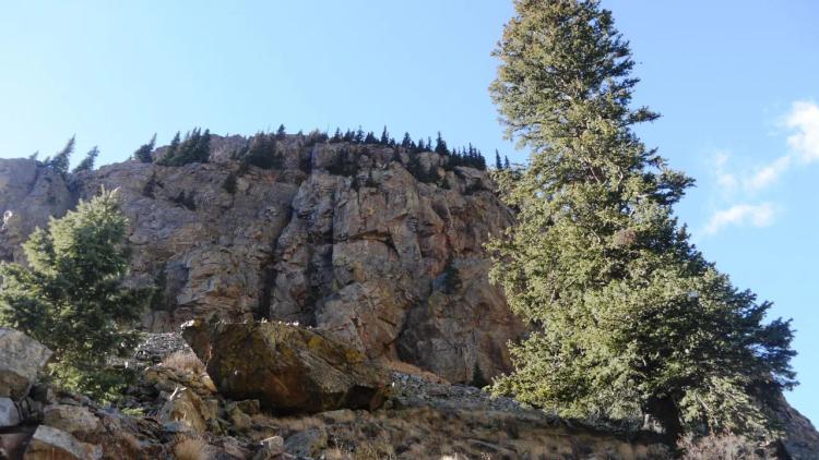 Extreme Colorado mountain land * Way up in the mountains