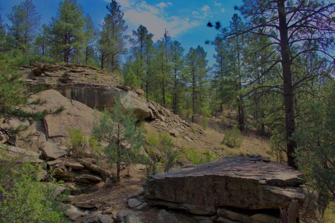 TBD Pine Lane 47 & 54, Weston, CO 81091