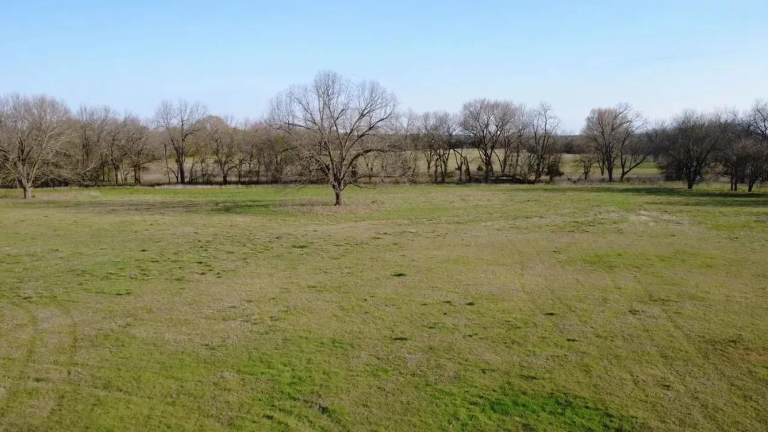 6 Scenic Acres with Pecan Trees Lot 2 – Minutes from Multiple Different Lakes