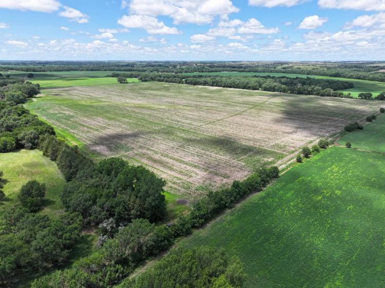 111 Acres, Webster River Bottom Farm