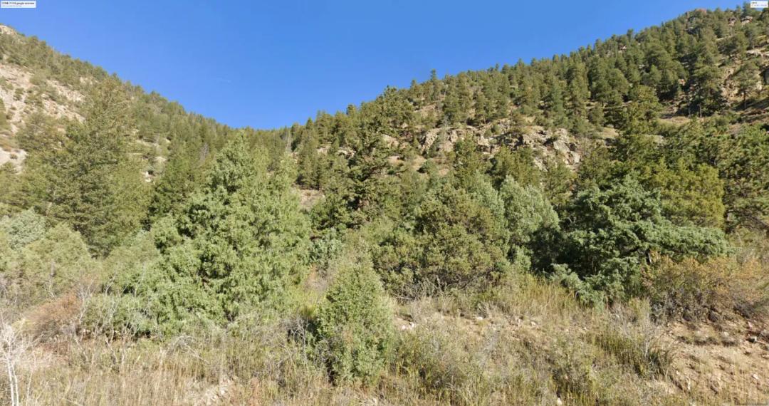 25% Undivided interest in Patented Mining Claim Mountain Land Clear Creek County Colorado