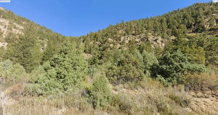 25% Undivided interest in Patented Mining Claim Mountain Land Clear Creek County Colorado