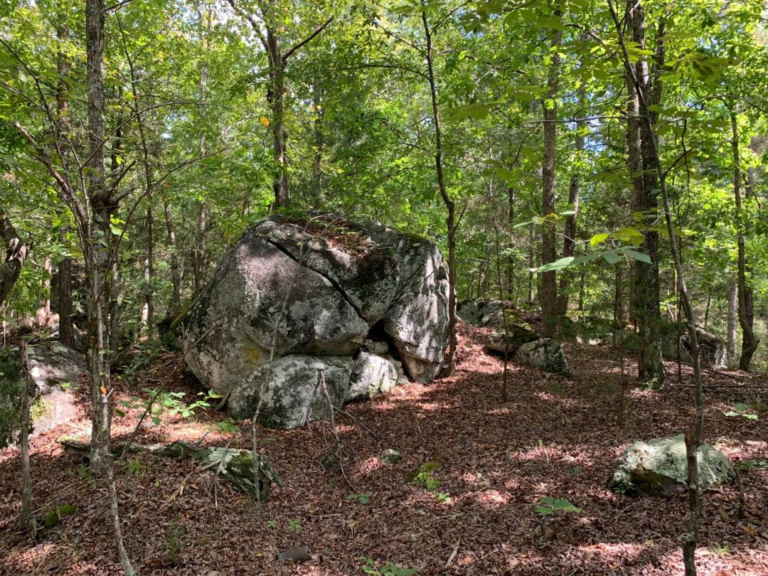Norris Creek Tract