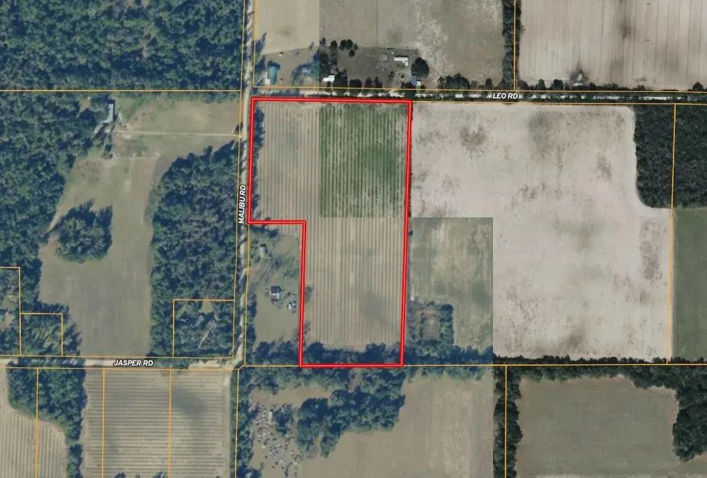 19± Acres in Bascom, FL – Ideal Homesite or Hobby Farm