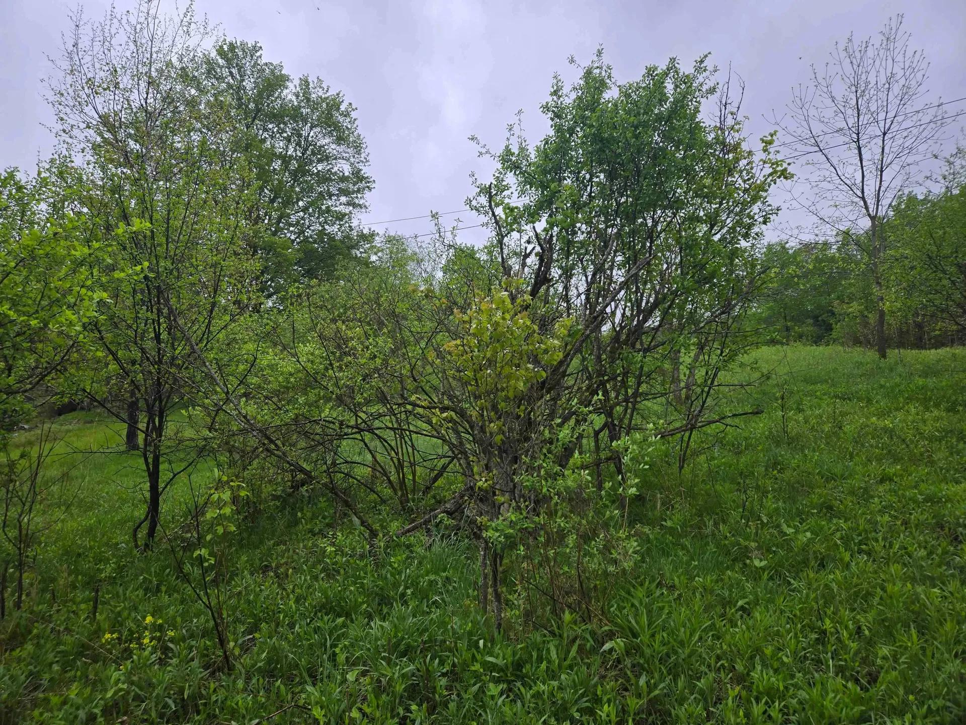 88535827-13