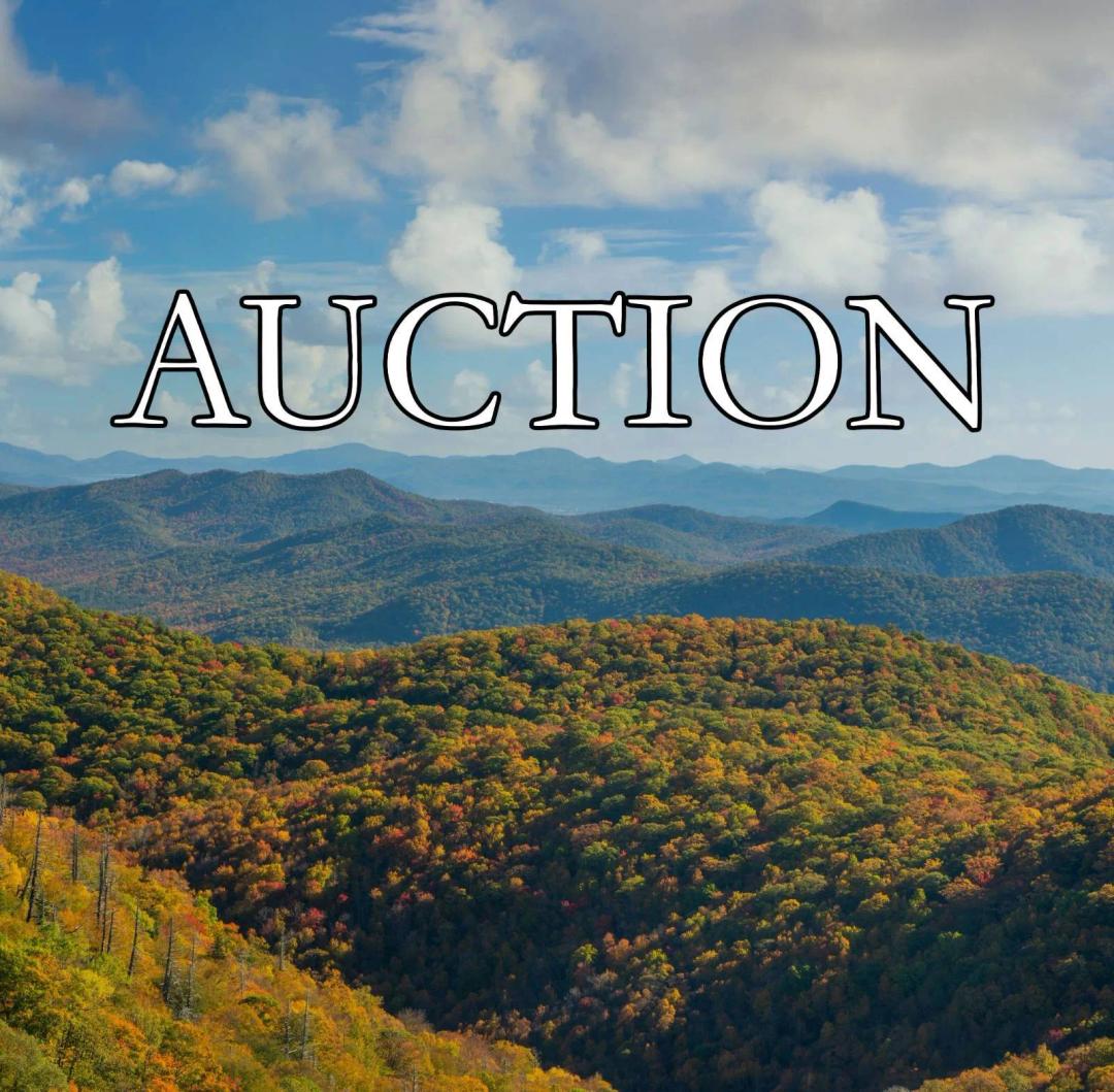 Asheville Land Development &amp; Estate Opportunity