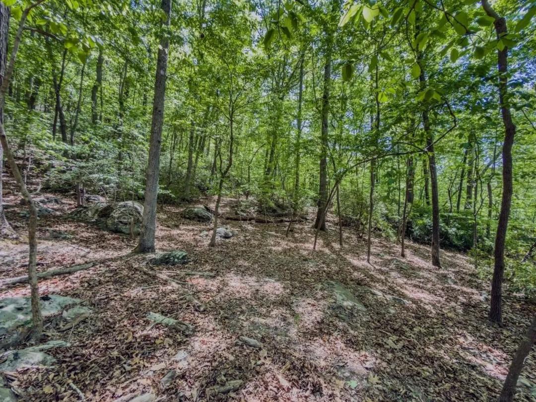 29.86 acres of Recreational Land for Sale in Randolph County NC!