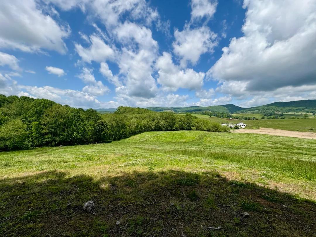 36.41 Acres at 0 Horne Hollow Rd, Tract A