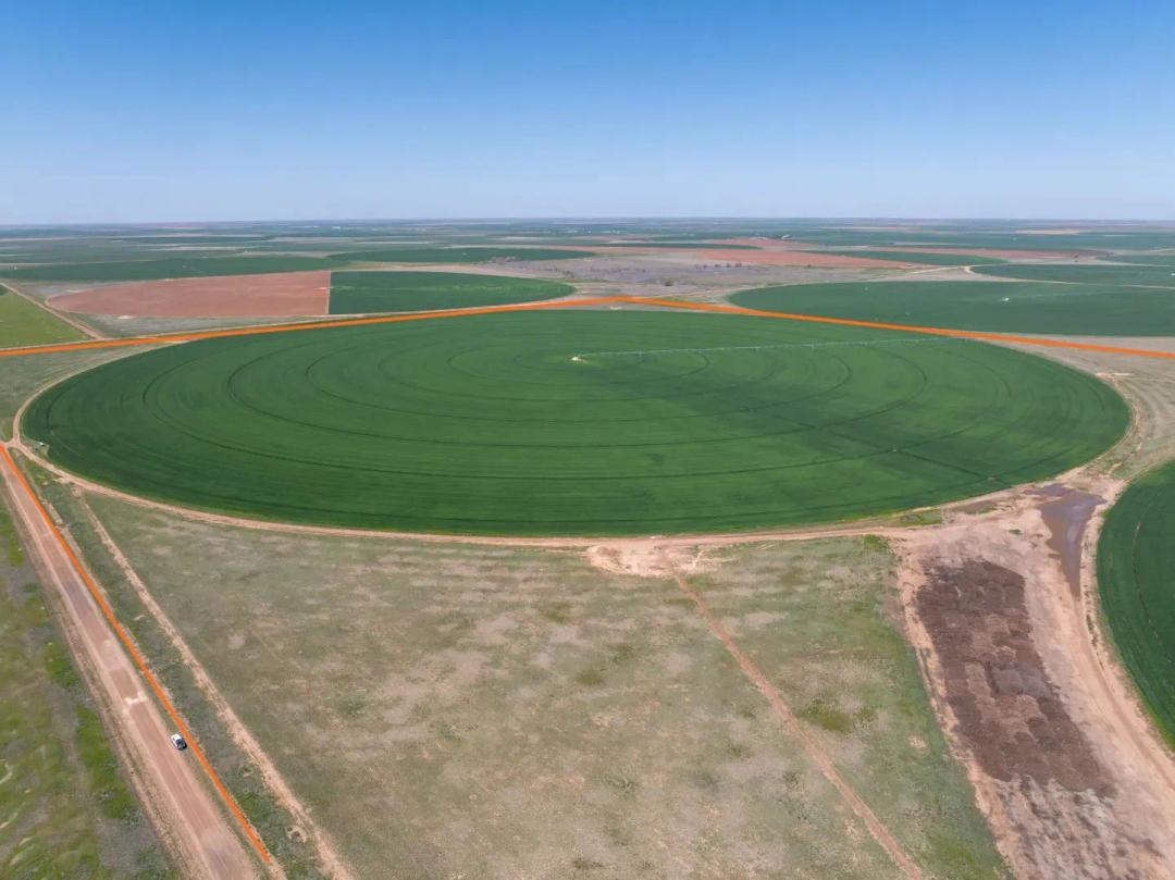 Busby Farms 516.34 Acres CR 625