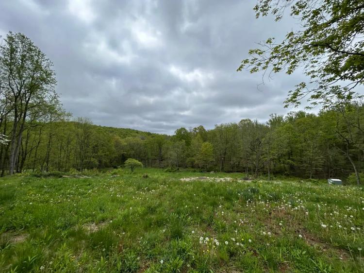 150 Hauger-Hood RD - Westmoreland - Stahlstown - 35.6 +/-