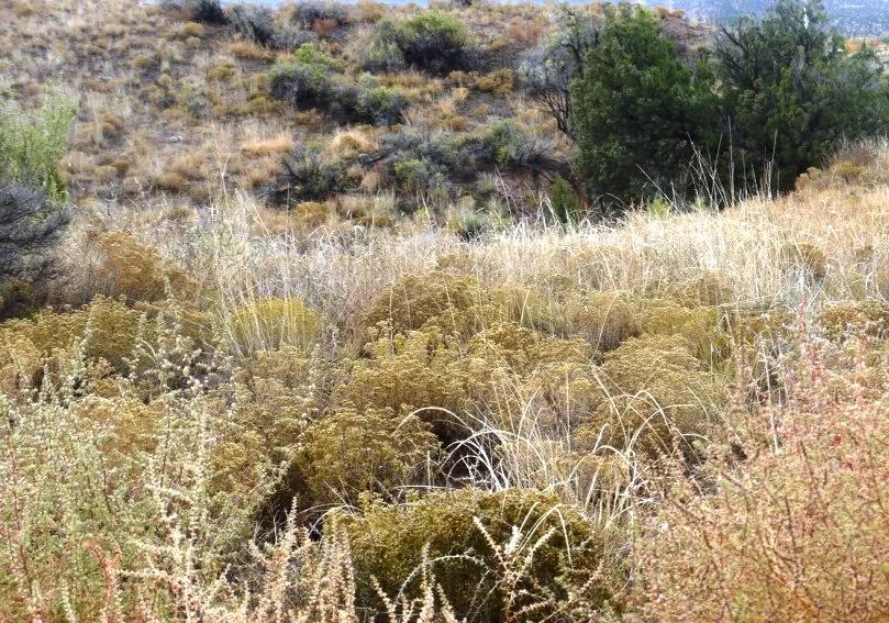Santa California City - 1 acre Buildable site