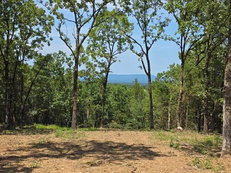 Wister Lake Acreage - Adjoining Wister Wildlife Management Area