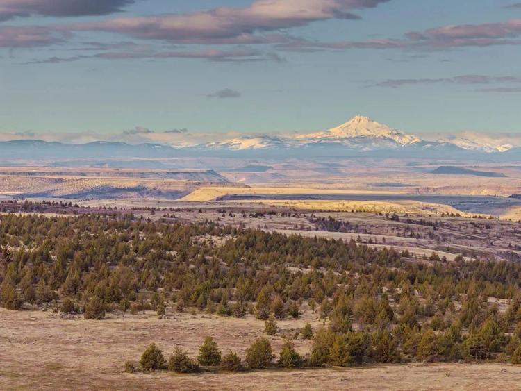 Cross Keys Ranch