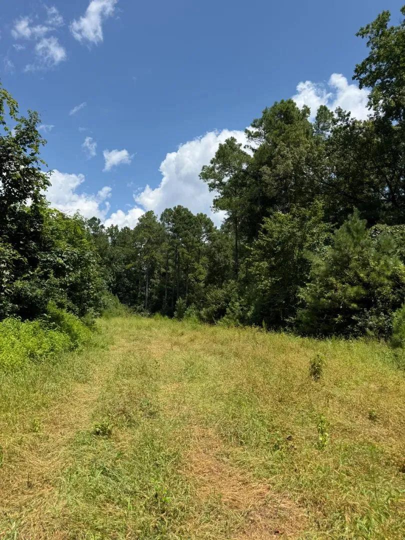 80 Acres in Choctaw County, MS