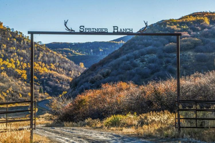 Springer Ranch