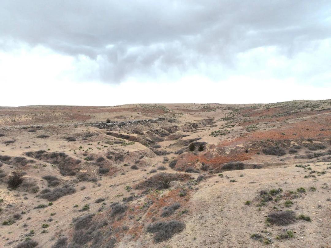 850± Acres Dryland Cropland &amp; Grassland - Cheyenne County, KS