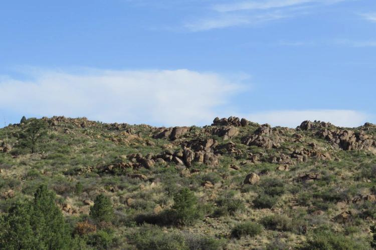 21.00 Acres at 1111 W Line Shack Rd