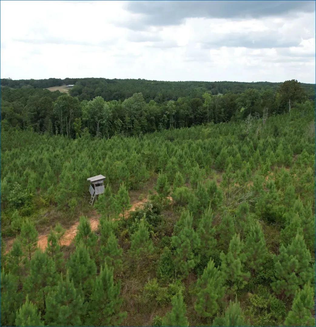 75.9 Acres in Lafayette County in Paris, MS 