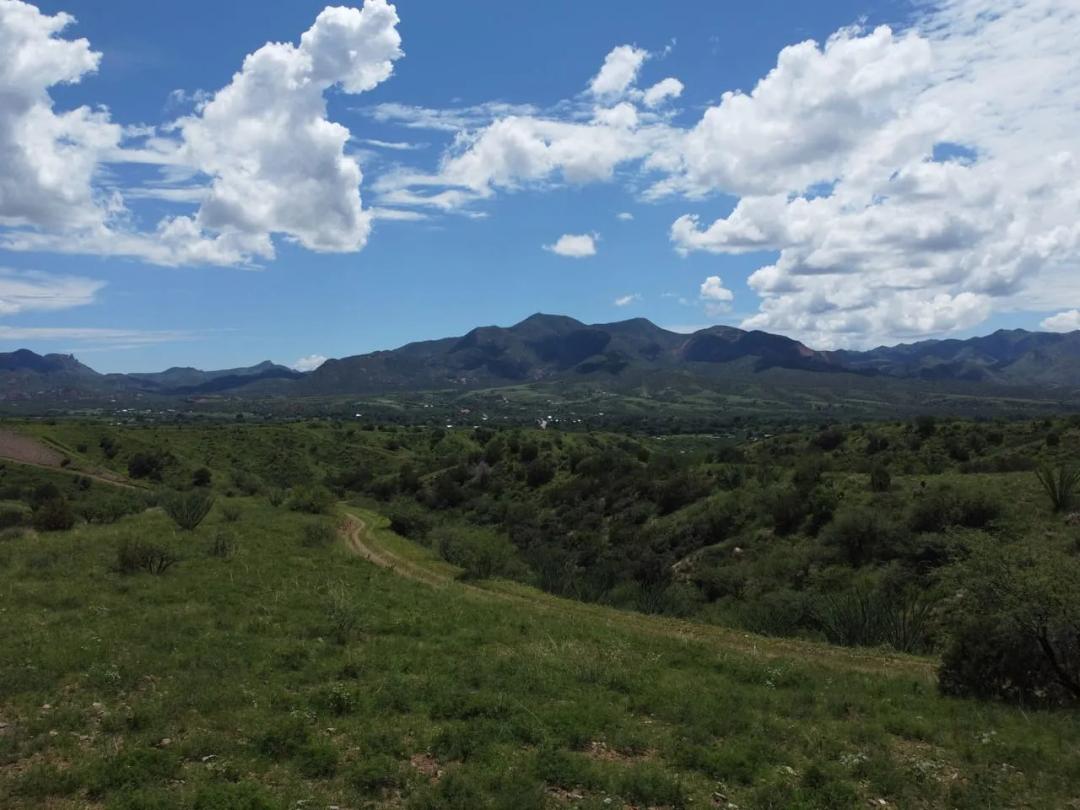 Southern Arizona Gem