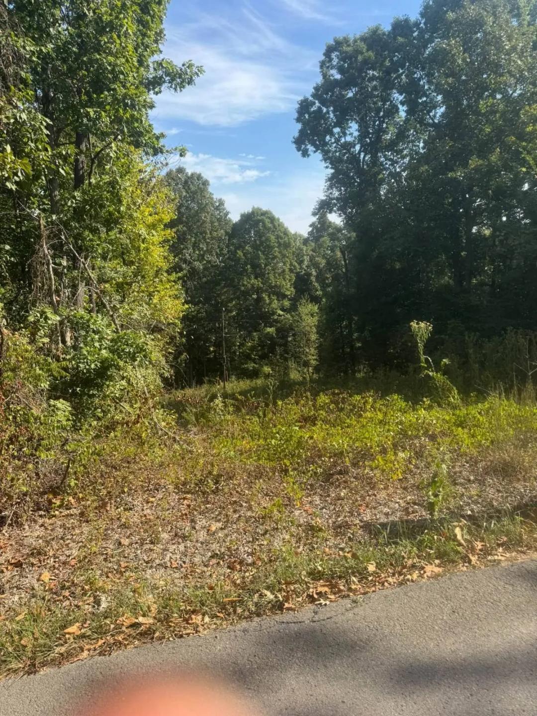 9+/- ACRES OF RURAL/WOODED PROPERTY SEPTIC SYSTEM INSTALLED