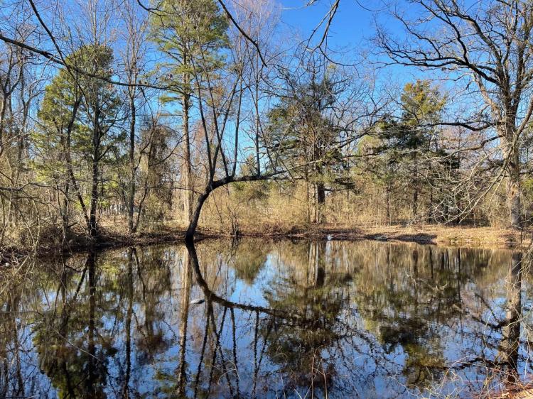 1.63 Acres at 0 Rambling Oaks Road 1