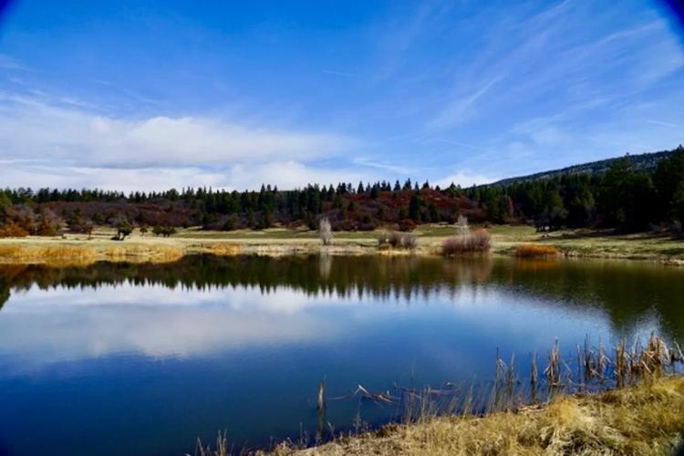 Mundy Ranch and Mountain Estate
