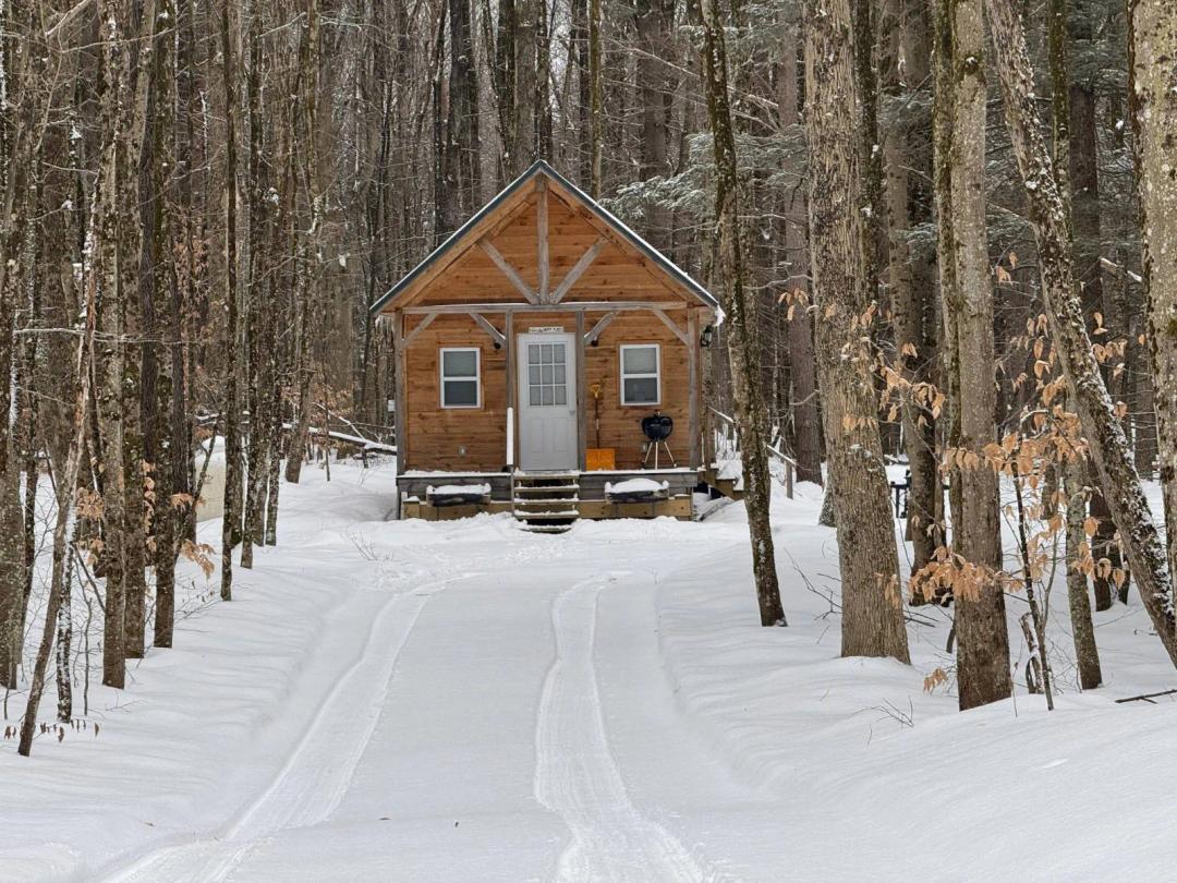 2.5 acres with Finished Cabin Williamstown NY