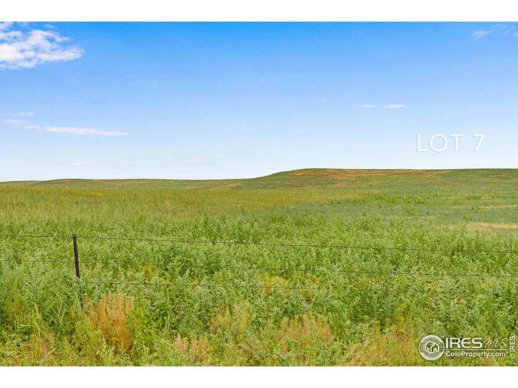7 TBD County Road 122 Carr CO 80612, Weld, CO
