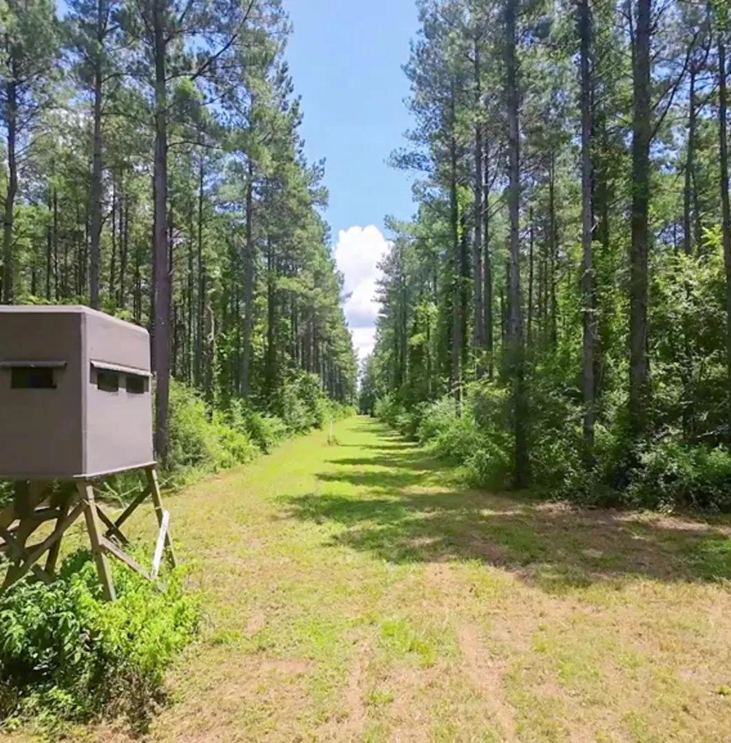 397 Acres with a Home in Jefferson Davis County at 1026 Mount Olive Road in Mount Olive, MS