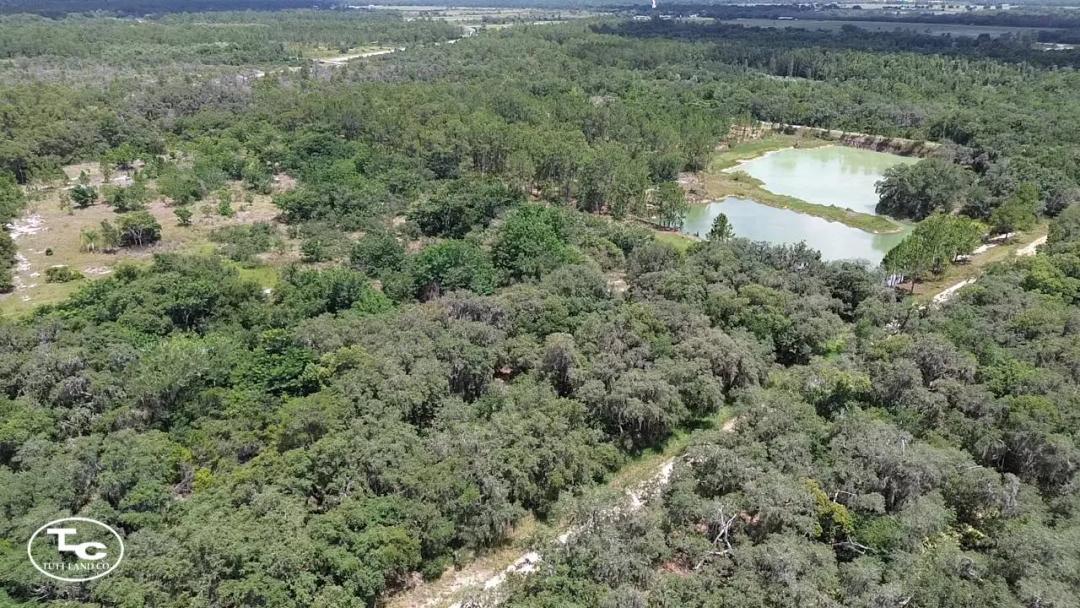 3.75 +/- Acres - Polk County - Central Lakes Tract